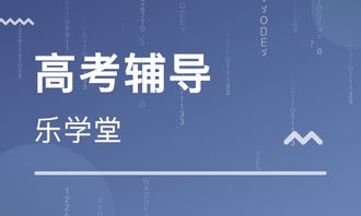 天津樂(lè)學(xué)堂教育 大眾網(wǎng)推薦品牌的專(zhuān)業(yè)教育信息咨詢之路
