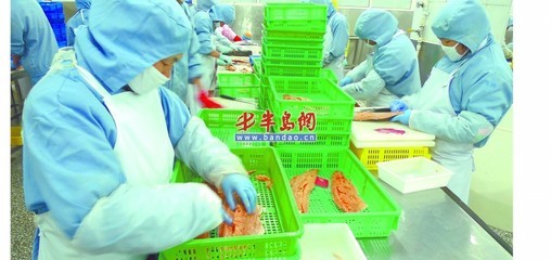 歐美需求激增，青島海產品加工企業全力以赴趕訂單