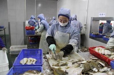 俄羅斯原料主導未來？琿春海產加工業迎來新動力