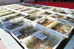 南澳海鮮餐廳推新模式 取消加工費，強化銷售品質承諾